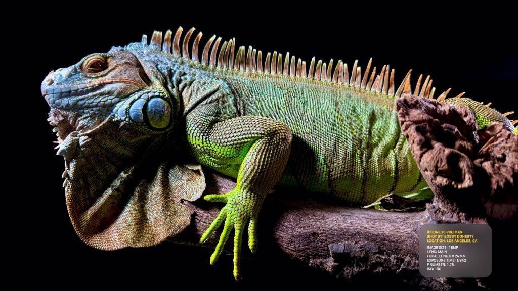 苹果正式发布 iPhone 15 ！全系上岛换 C 口，还有一个遥遥领先的更新