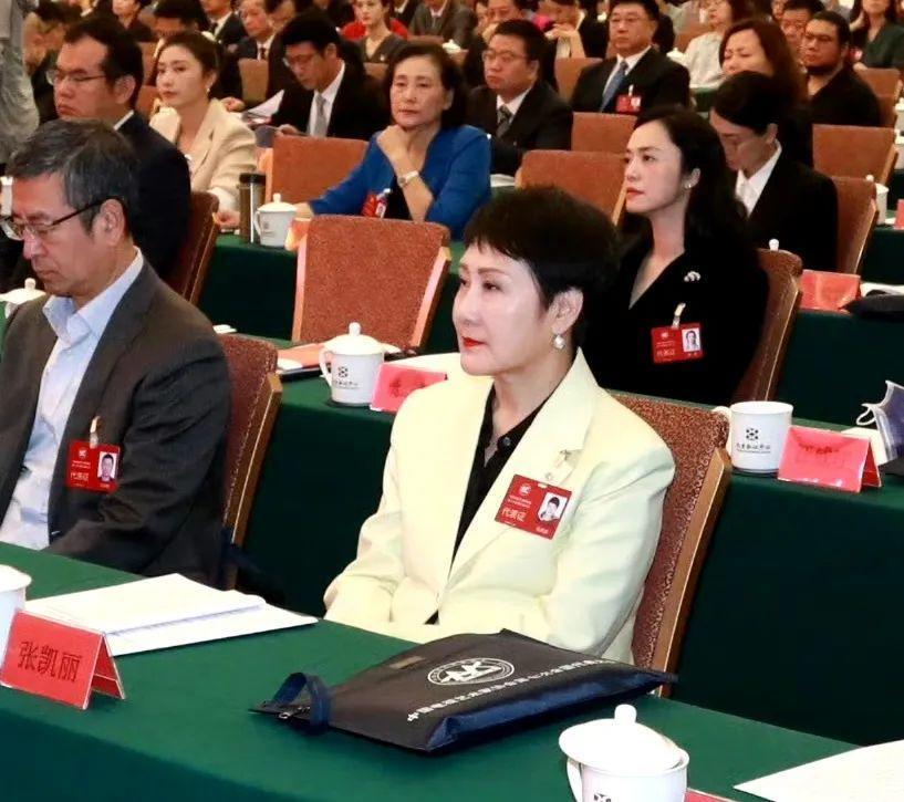 北京这一晚：姚晨最有排面，张凯丽赢麻了，而C位却是李幼斌