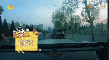 他被骂是“妈宝男”？