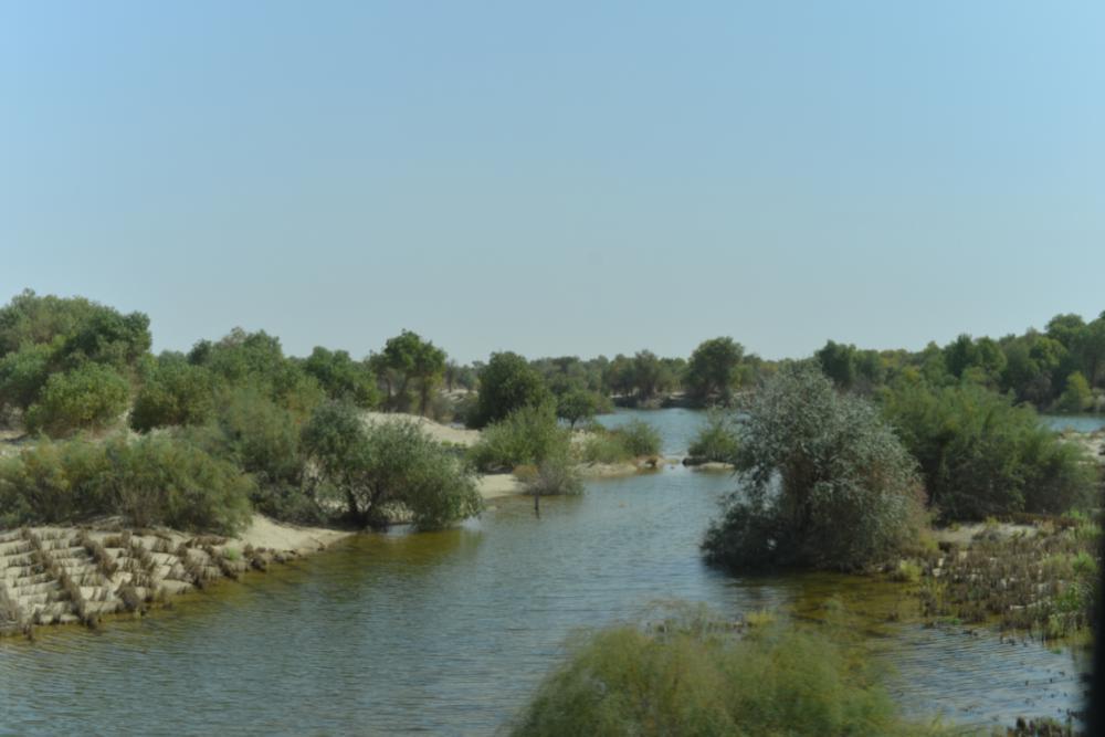 离海最远的地方，把海鲜卖去江浙沪