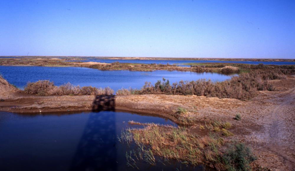离海最远的地方，把海鲜卖去江浙沪