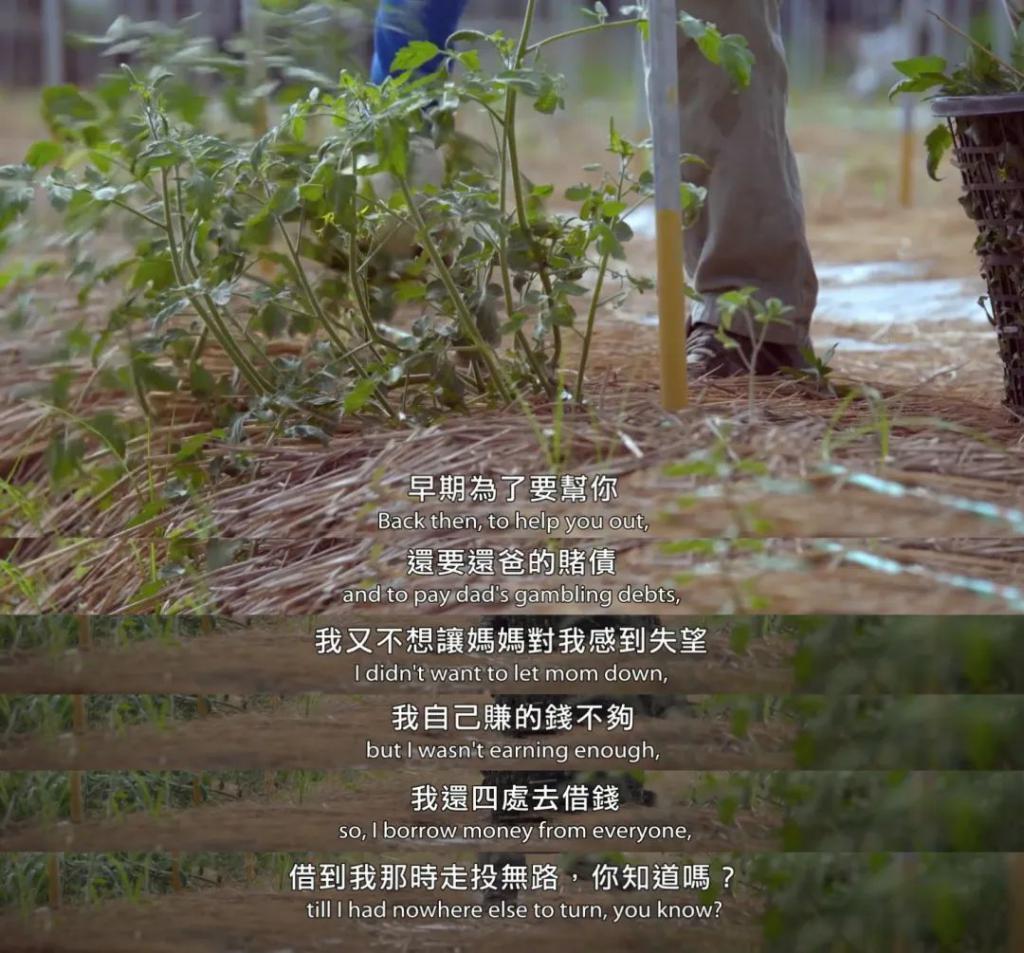 哭着打五星！顶级华语神作，刺痛亿万国人