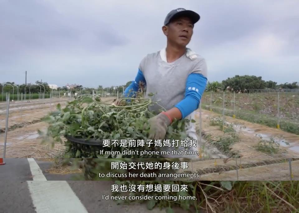 哭着打五星！顶级华语神作，刺痛亿万国人