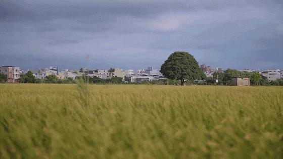 哭着打五星！顶级华语神作，刺痛亿万国人