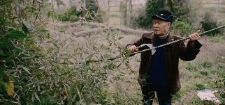 哭着打五星！顶级华语神作，刺痛亿万国人