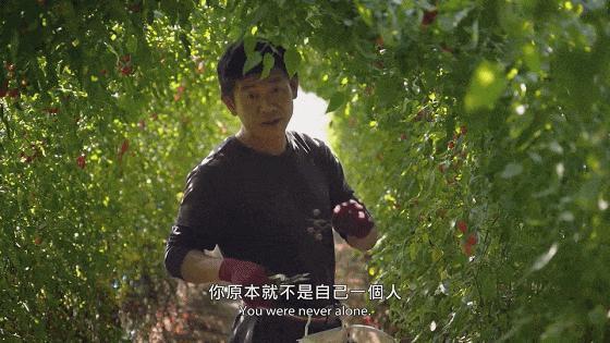 哭着打五星！顶级华语神作，刺痛亿万国人