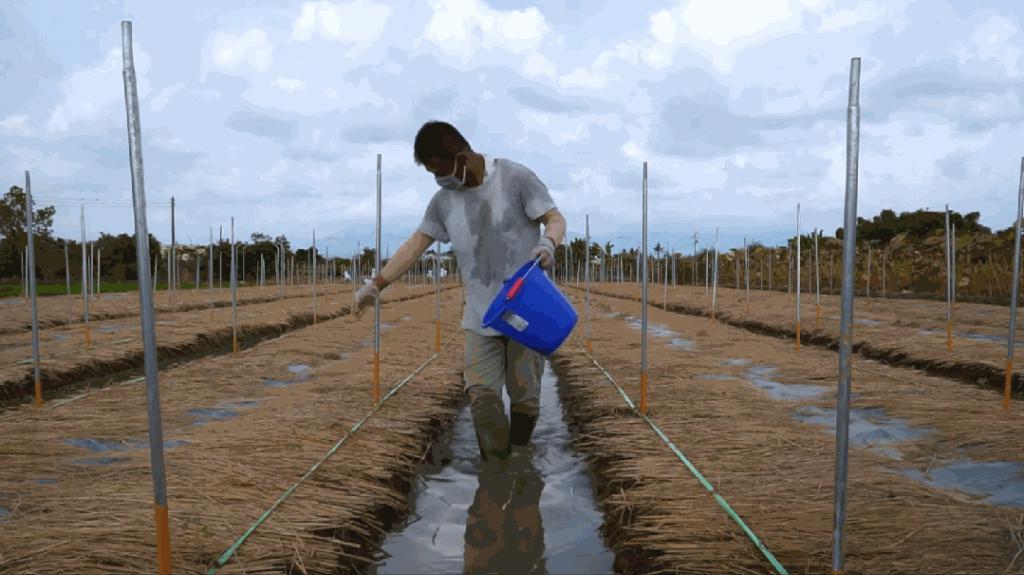 哭着打五星！顶级华语神作，刺痛亿万国人