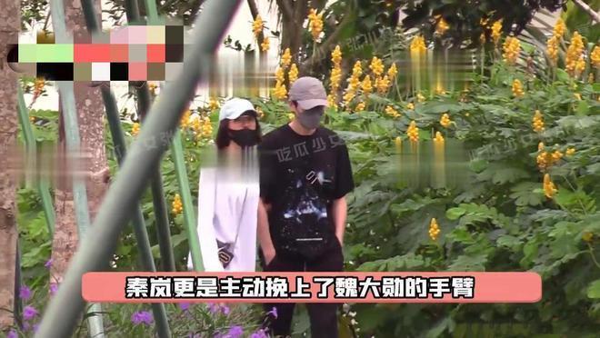 秦岚被偶遇无美颜滤镜变化大,生图暴露真实年龄