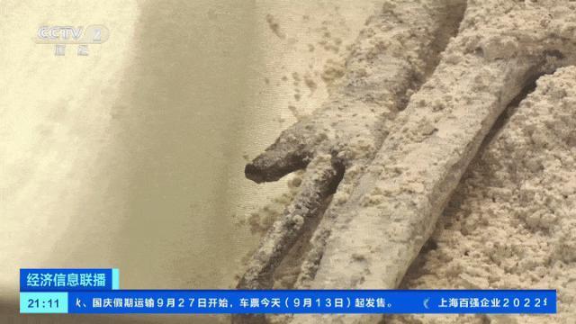 离谱！直播展示外星人，还“怀孕”了？