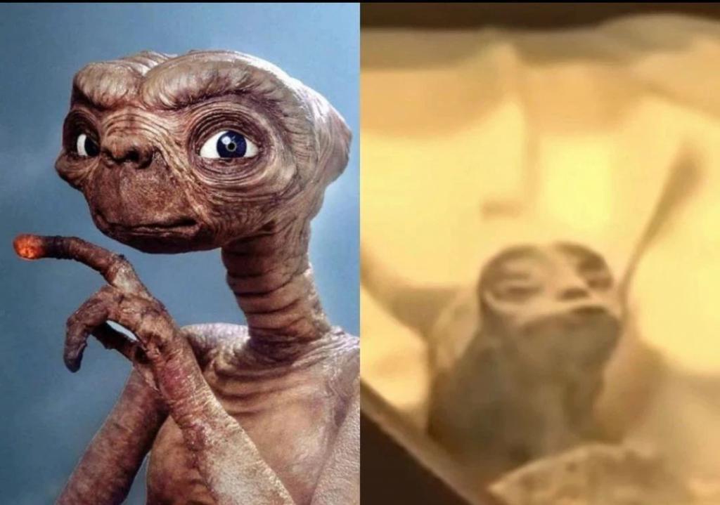 离谱！直播展示外星人，还“怀孕”了？