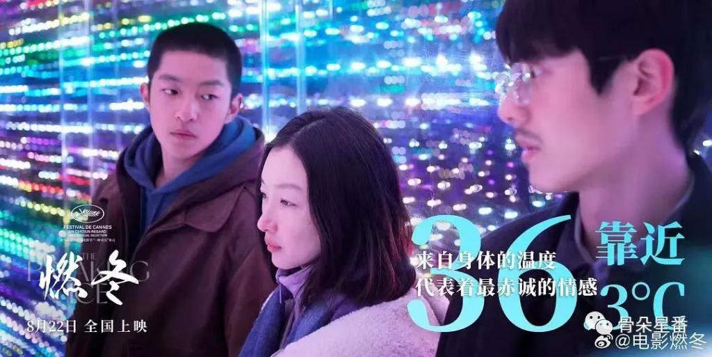 国产文艺片“丧男”，这届不甚讨喜