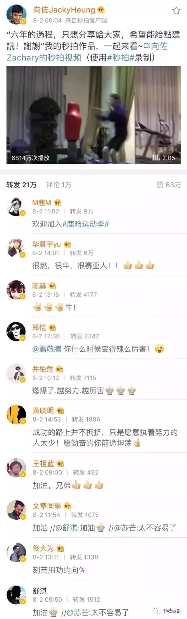 郭碧婷为什么消失了？