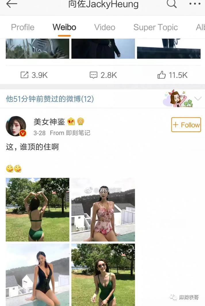 郭碧婷为什么消失了？