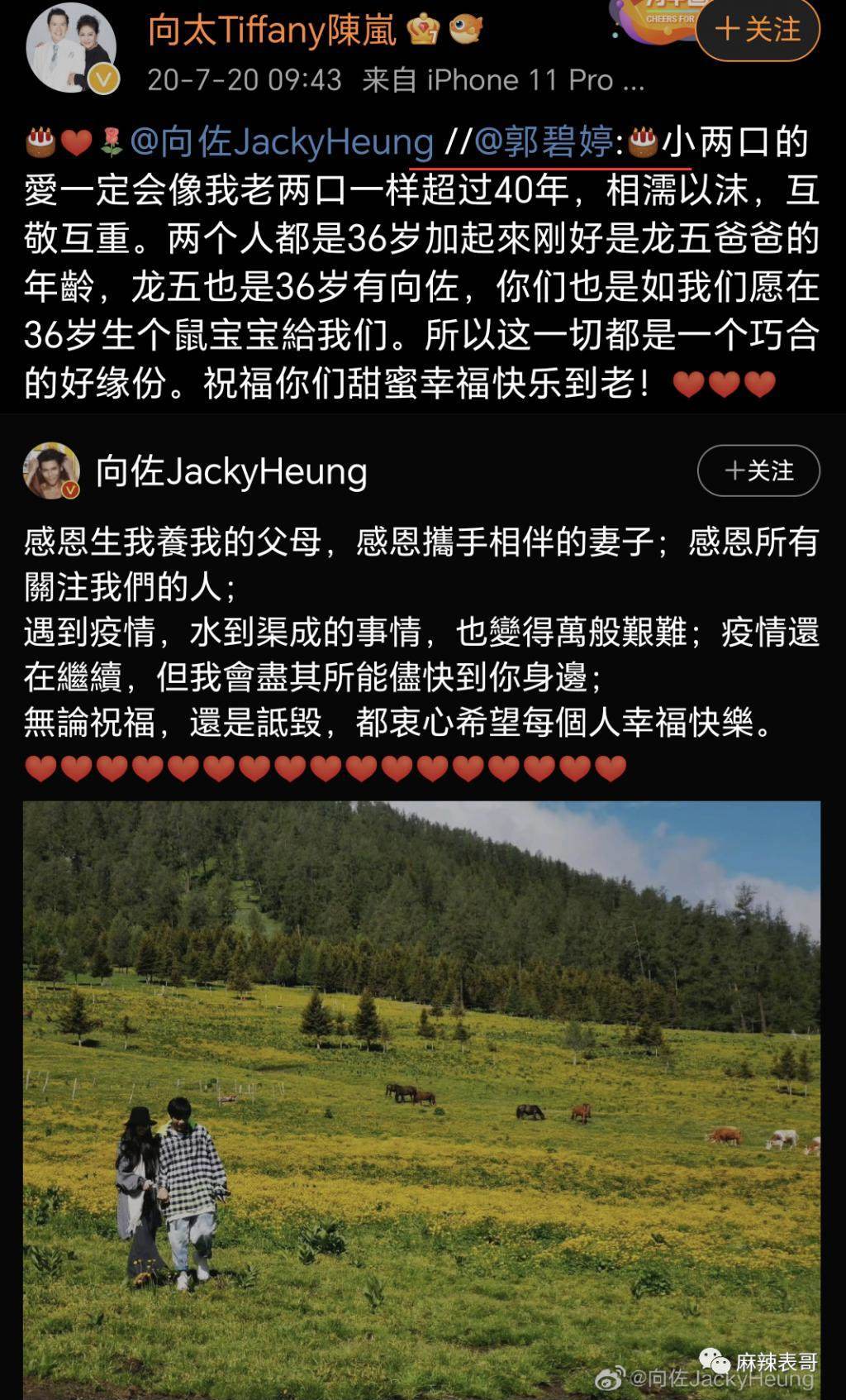 郭碧婷为什么消失了？
