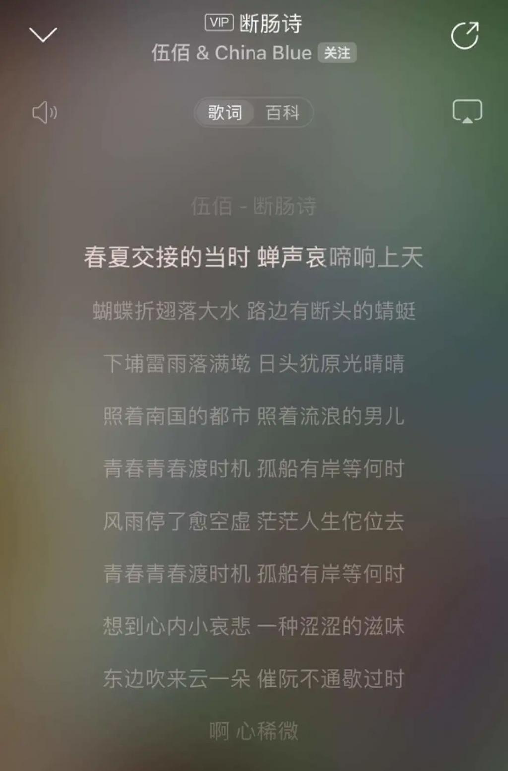 伍佰的演唱会，没有观众