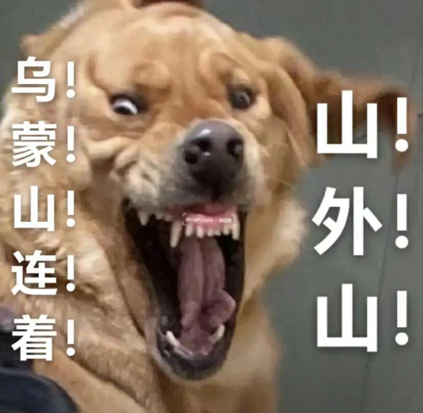 花499给凤凰传奇唱一晚上歌，现在流行去演唱会当怨种？