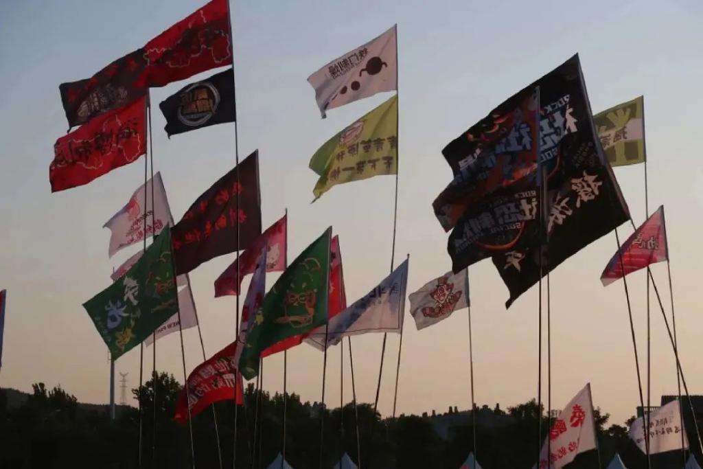 花499给凤凰传奇唱一晚上歌，现在流行去演唱会当怨种？