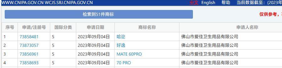 Mate 60Pro商标被抢注，佛山知识产权中心称“被驳回可能性较大”
