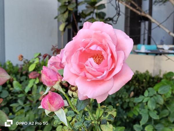 OPPO A2 Pro评测：软硬实力俱强 给你更耐用持久的体验