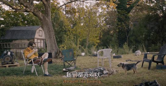 内娱最新离婚大瓜，内幕来了