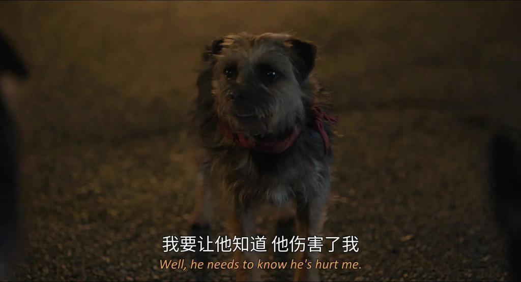 内娱最新离婚大瓜，内幕来了