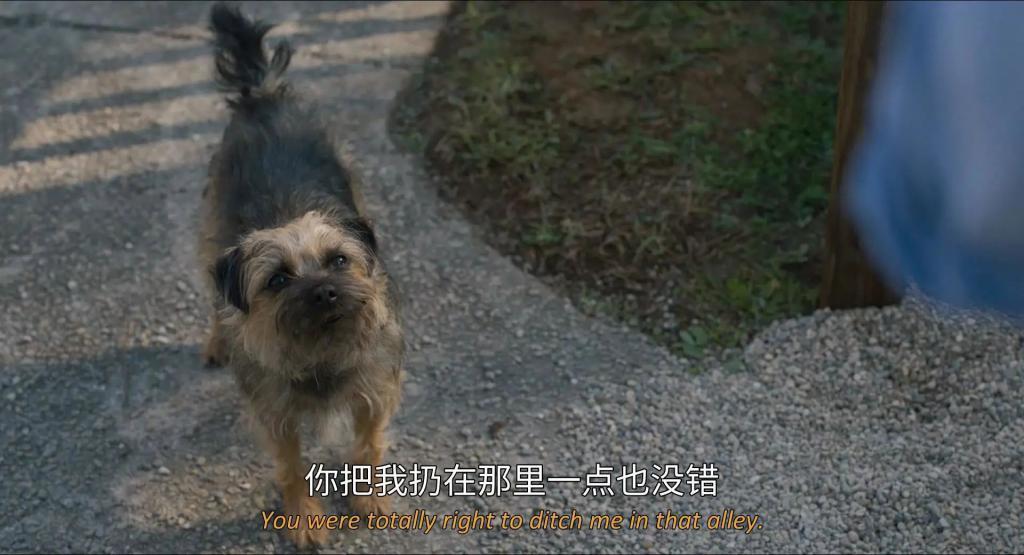内娱最新离婚大瓜，内幕来了