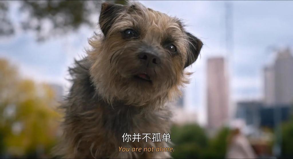 内娱最新离婚大瓜，内幕来了