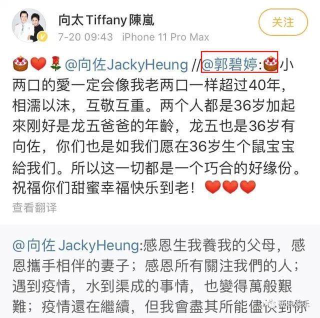 豪门媳妇,才是顶级演员?