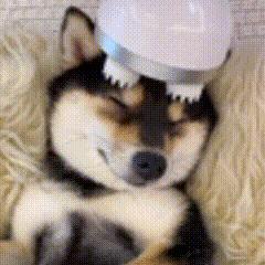 早报｜你抢到首批 iPhone15 了吗 / 花西子事件后老牌国货销量暴涨 / 腾讯混元大模型将陆续对公众开放