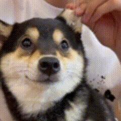 早报｜你抢到首批 iPhone15 了吗 / 花西子事件后老牌国货销量暴涨 / 腾讯混元大模型将陆续对公众开放