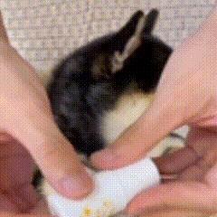 早报｜你抢到首批 iPhone15 了吗 / 花西子事件后老牌国货销量暴涨 / 腾讯混元大模型将陆续对公众开放