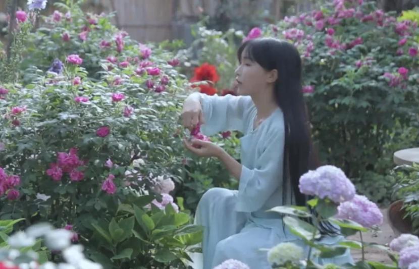 李子柒官司风波后首露面，外形改变疑似动脸，被嘲网红感太重