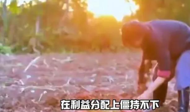 李子柒官司风波后首露面，外形改变疑似动脸，被嘲网红感太重