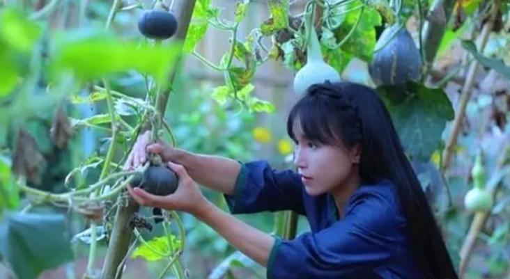 李子柒官司风波后首露面，外形改变疑似动脸，被嘲网红感太重