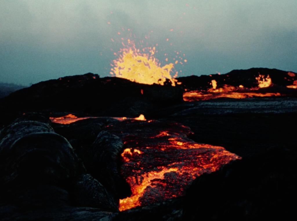 豆瓣9.0，好独特的一部纪录片