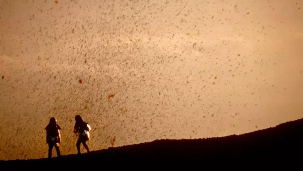 豆瓣9.0，好独特的一部纪录片