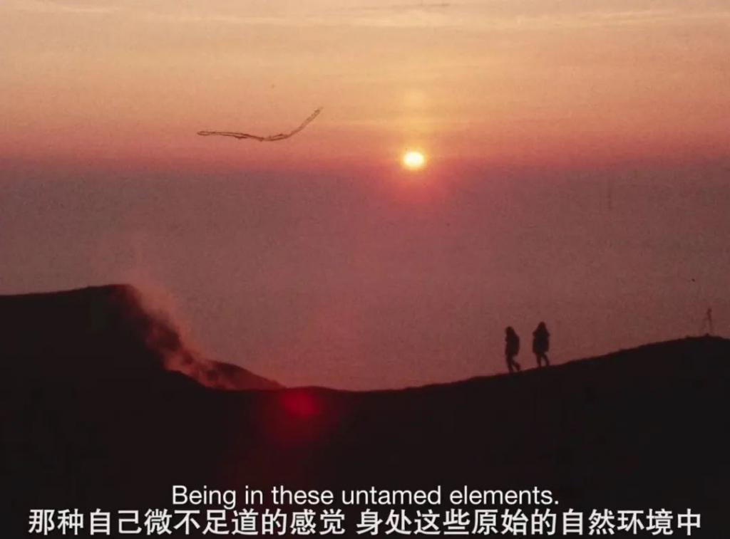 豆瓣9.0，好独特的一部纪录片