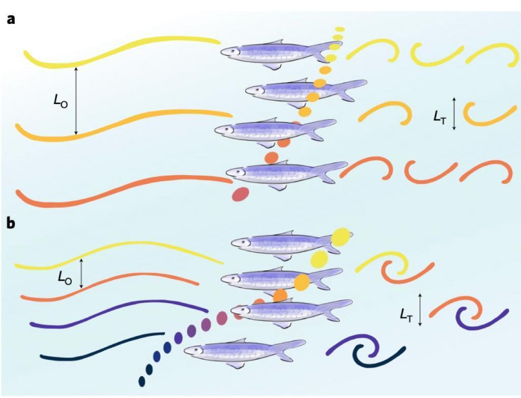 靠数尸体鼻毛拿下10万亿奖金，这届搞笑诺奖太重口了。。。