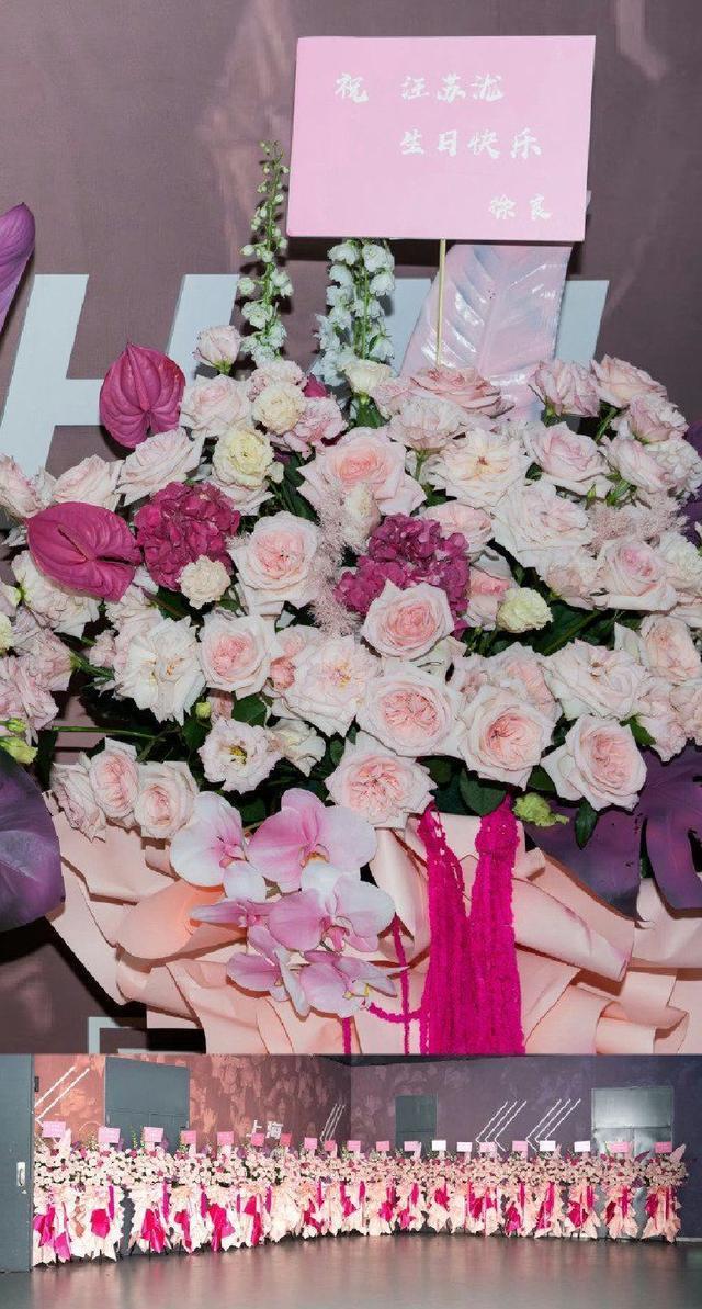 徐良为汪苏泷生日场演唱会送20只花篮 粉色花簇超有排面