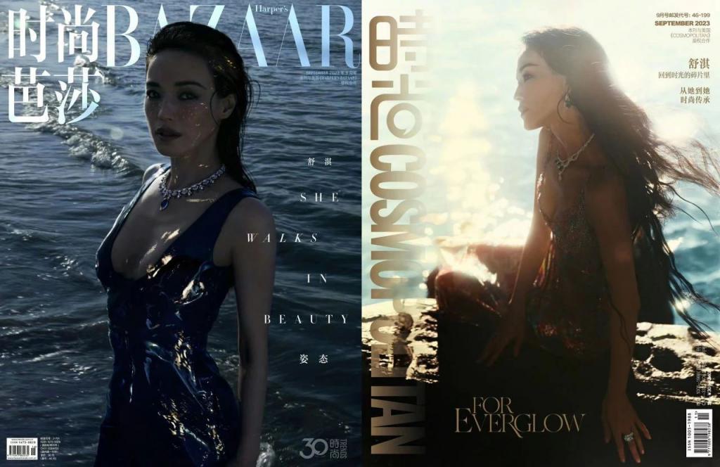 逼急章子怡的，不是舒淇张子枫