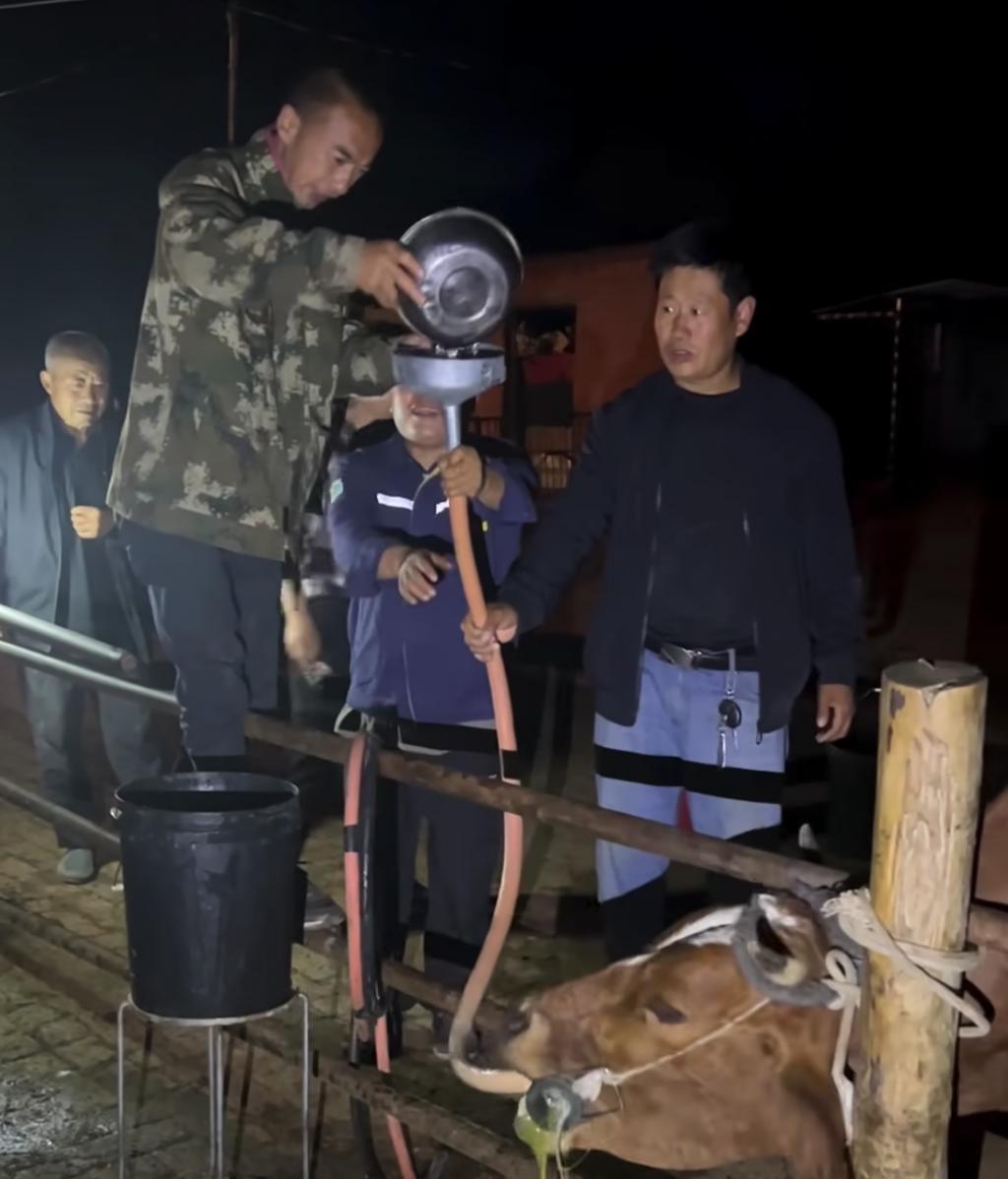 涨粉一百万后，他还在村里给牛治病。