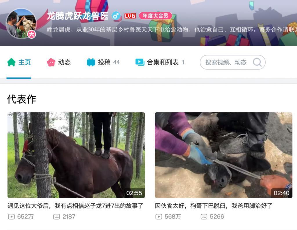 涨粉一百万后，他还在村里给牛治病。