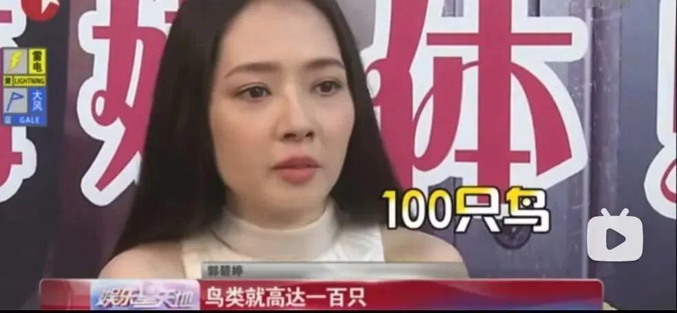 郭碧婷的神颜消亡史