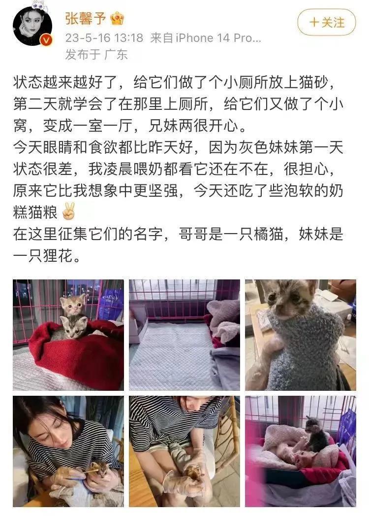 十年前真没想过还有羡慕她的一天…
