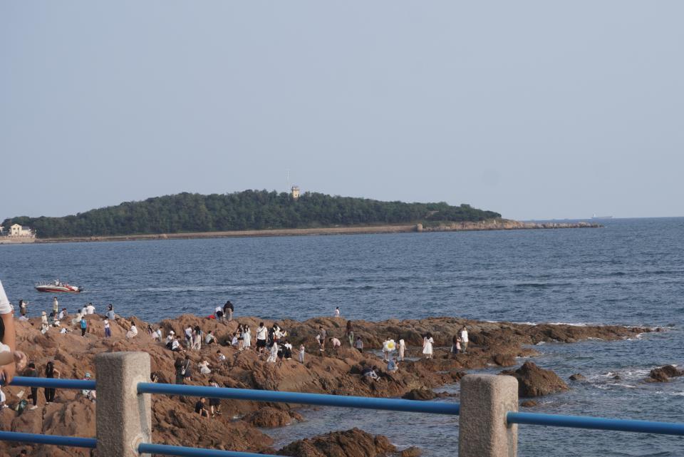 日本强排核污水20天后，有渔民为生计发愁