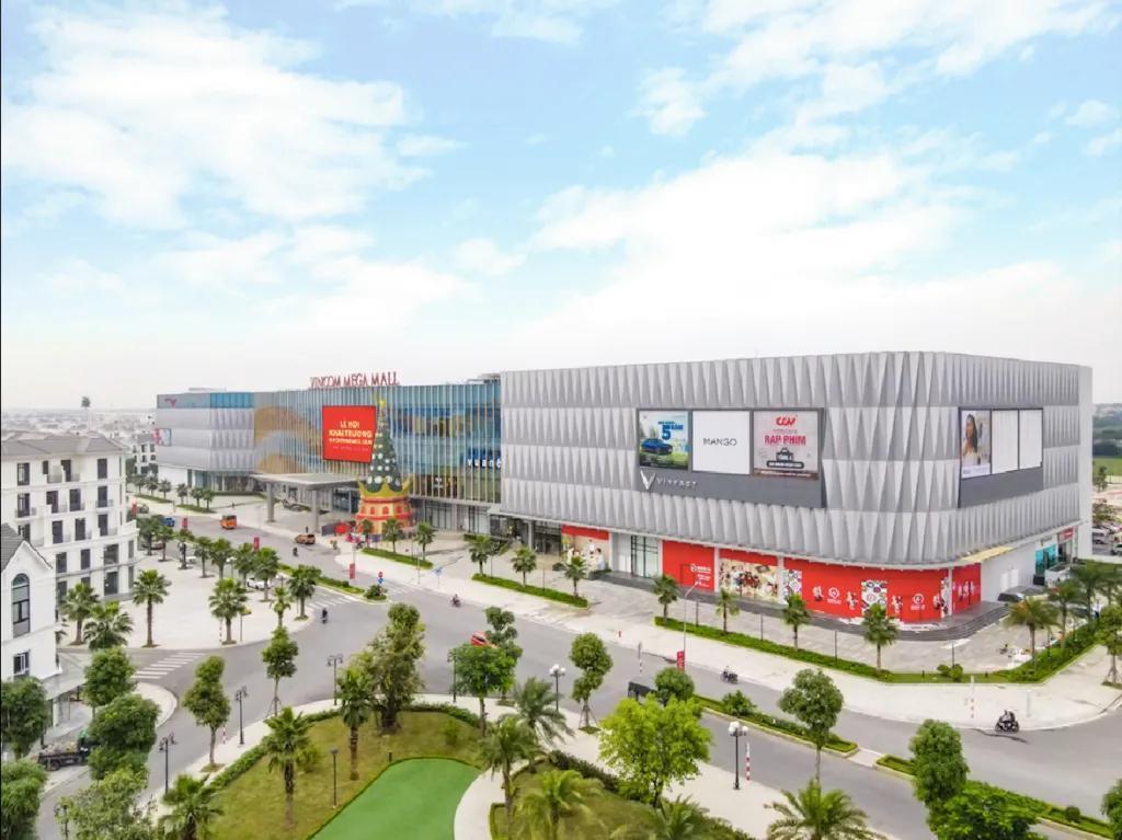 “越南许家印”，要打造下一个特斯拉？