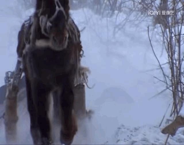 又一部年度剧王，可惜没热度
