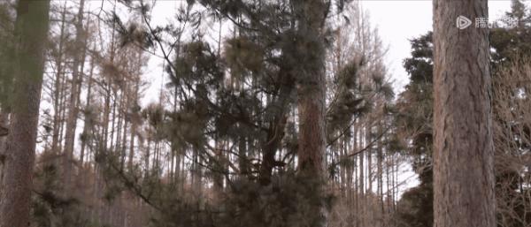 又一部年度剧王，可惜没热度