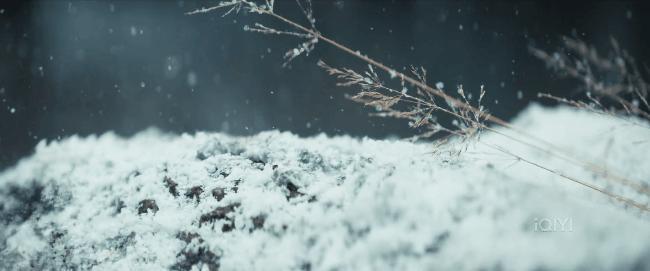 隐姓埋名的郭敬明，赢了通胀