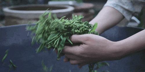 断层顶流复出，居然变硅胶脸?